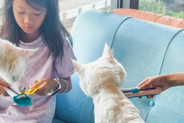 PetCare Vet Clinic